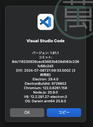 Visual Studio Code 1.91.1
