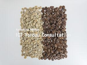 Stock Photos for Green coffee beans and Roasted beans (arranged in a square)