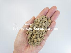 Stock Photos for Green coffee beans in the palm