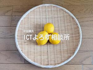 Stock Photos for 国産レモン（ざる乗せ）