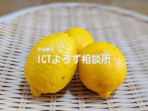 Stock Photos for 国産レモン（ざる乗せ）アップ