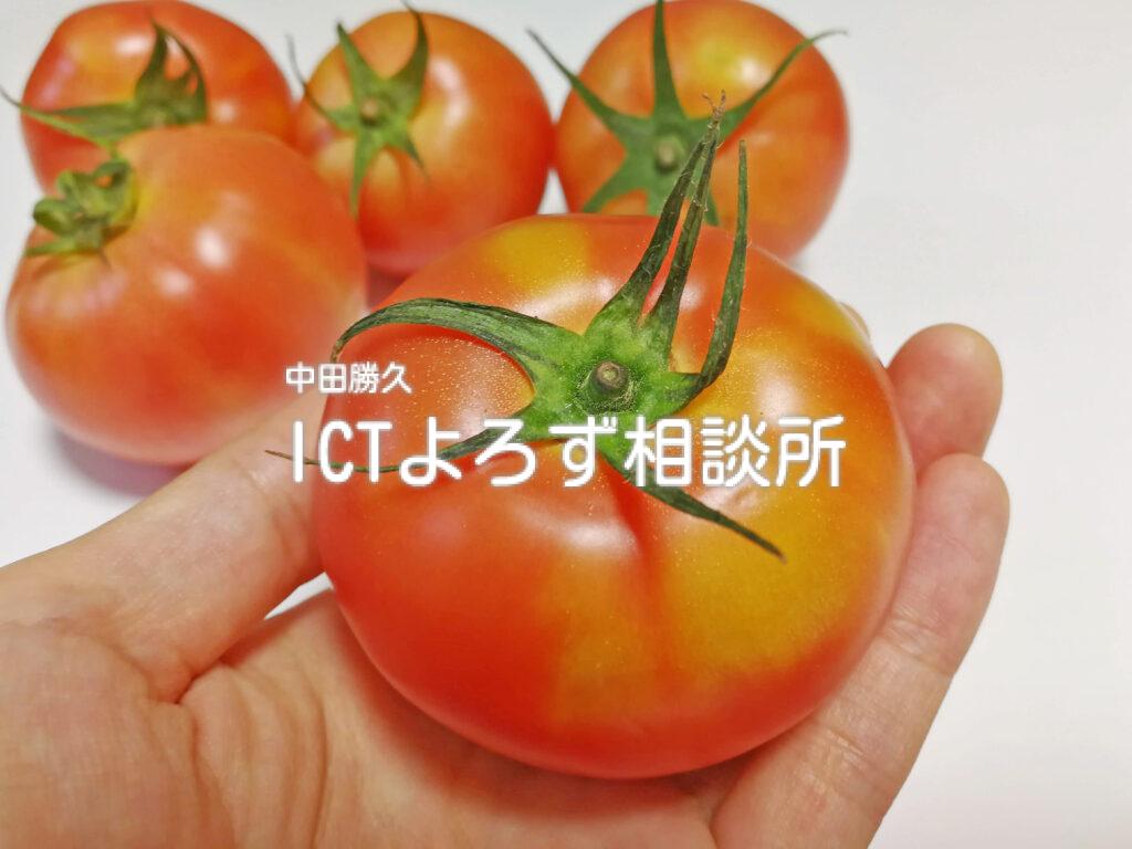 写真素材 : トマトを持つ