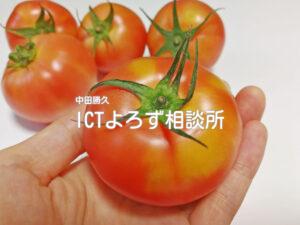 トマトを持つの写真フリー素材