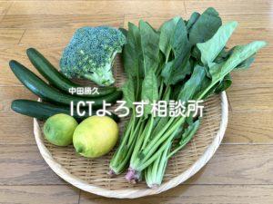 新鮮な緑野菜（ざる乗せ）の写真フリー素材